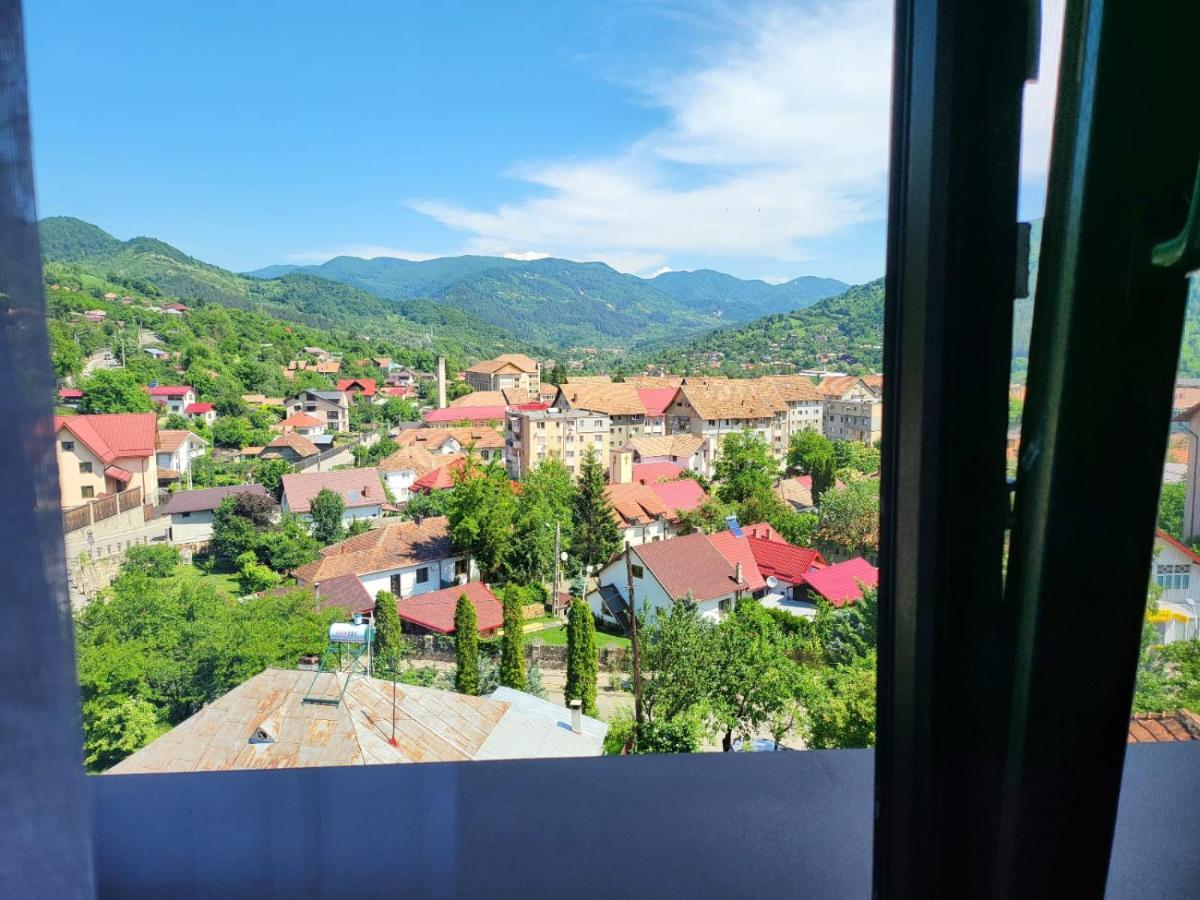 Bibis Apartments Nehoiu Luaran gambar